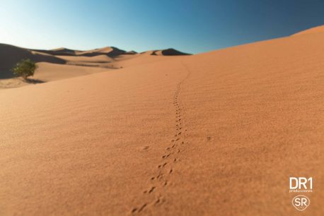 ©DR1-Producciones-Samuel-Rodriguez-Médulas-de-Arena-43-1030x687