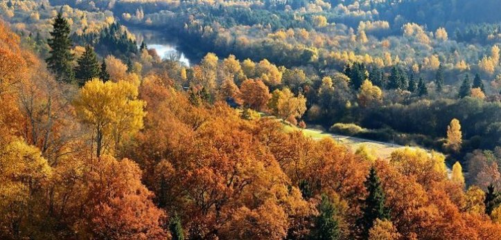 siguldarudens-44396439