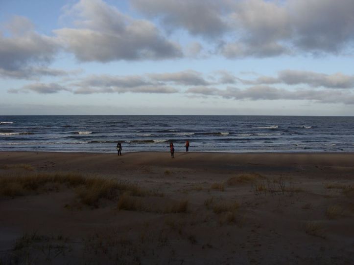Slītere National park in december