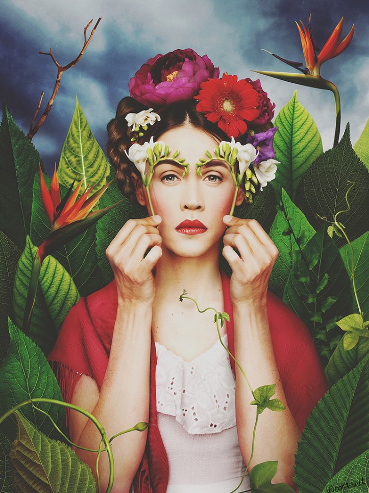 cdd31135736823.570256863331a[1]