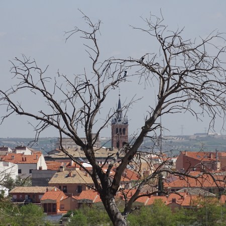 De rutas por La Sagra: Illescas